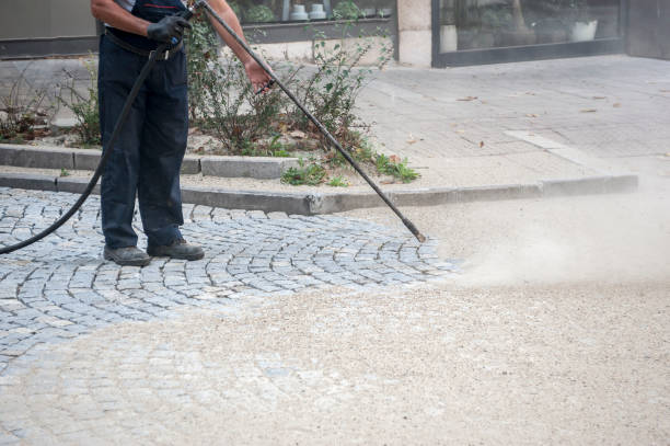 Best Fence Cleaning  in Washburn, IL